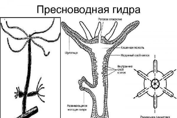 Кракен рабочая ссылка на официальный магазин